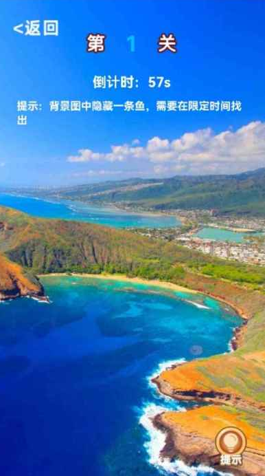 找东西的游戏叫什么