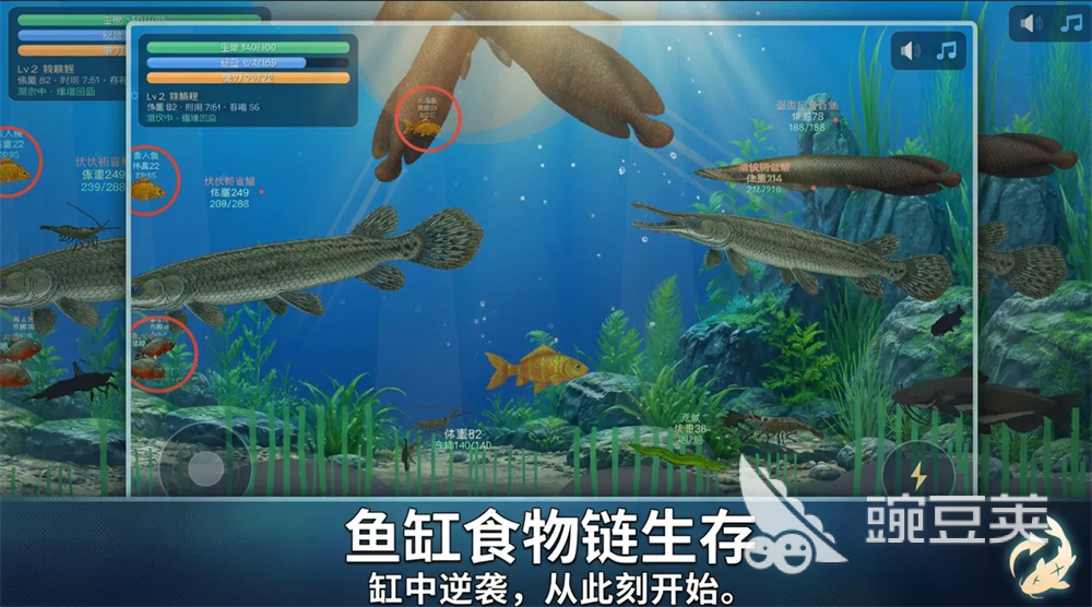 刀疤鲤缸中逆袭游戏下载渠道汇总：安全靠谱获取方式分享