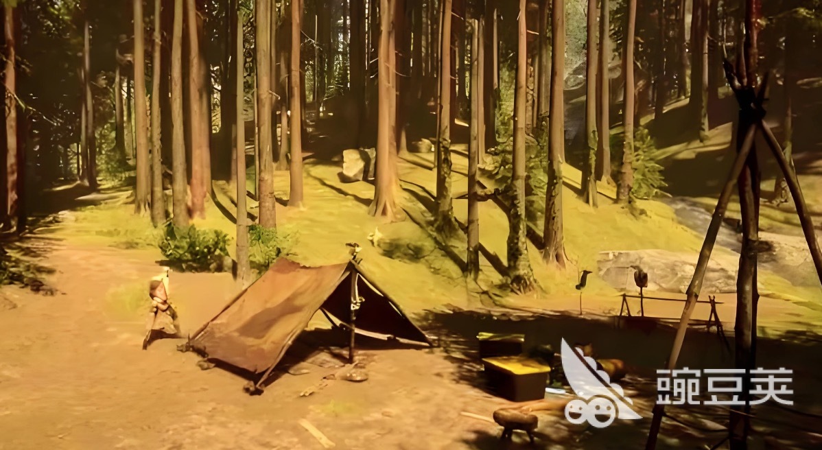 森林闪退卡顿怎么办？The Forest掉线掉帧解决方法与优化攻略