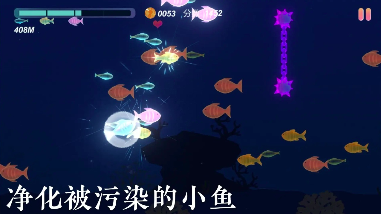鲤鱼的游戏有哪些2026