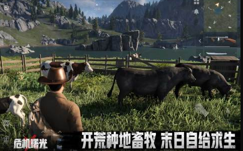 好玩的废土游戏有哪几款 2026人气较高的废土游戏合辑截图