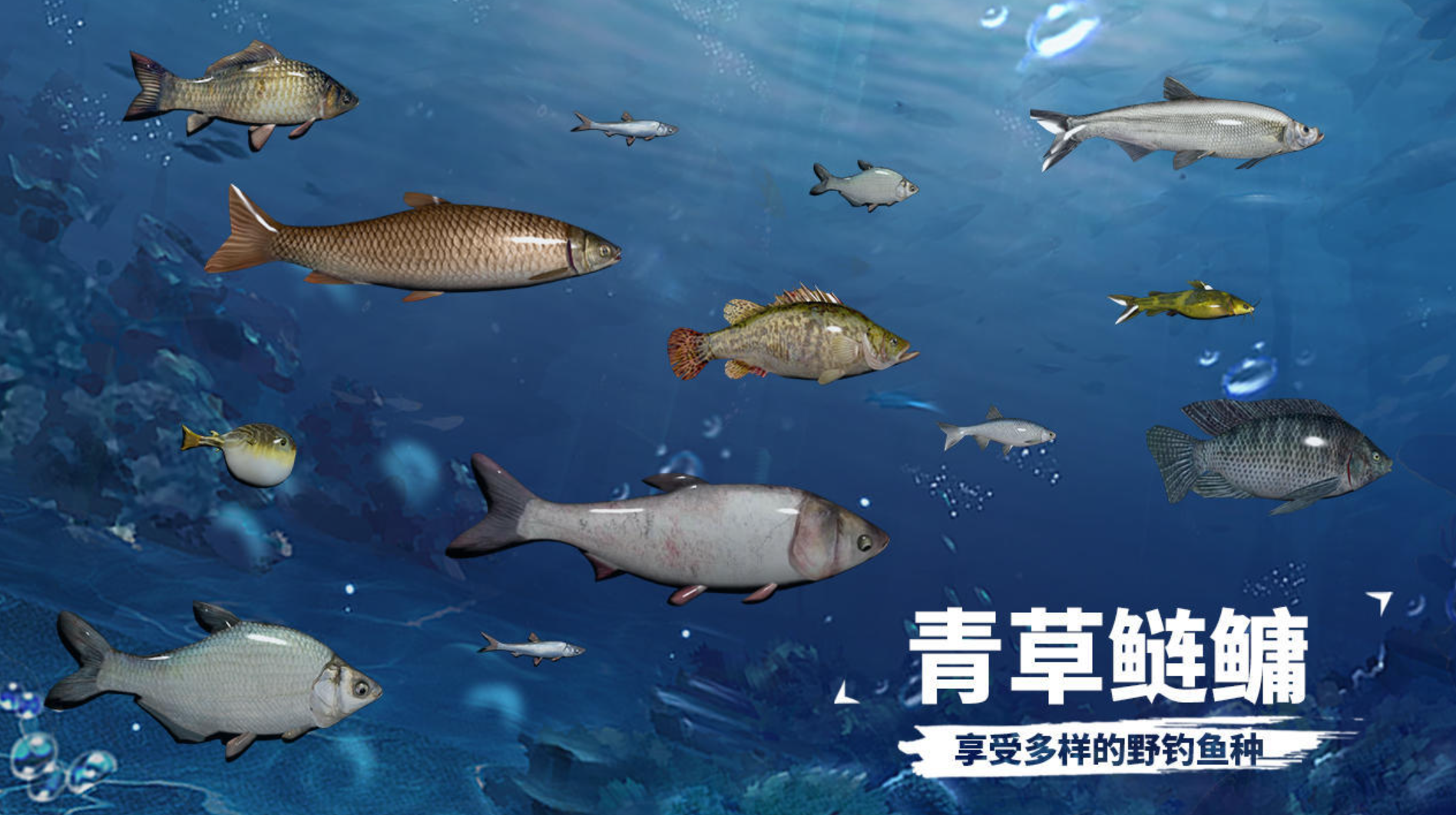 最逼真的钓鱼游戏下载 2026拟真的钓鱼游戏榜单截图