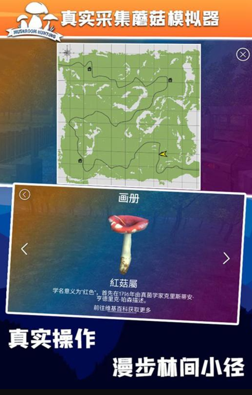 受欢迎的蘑菇游戏有哪些