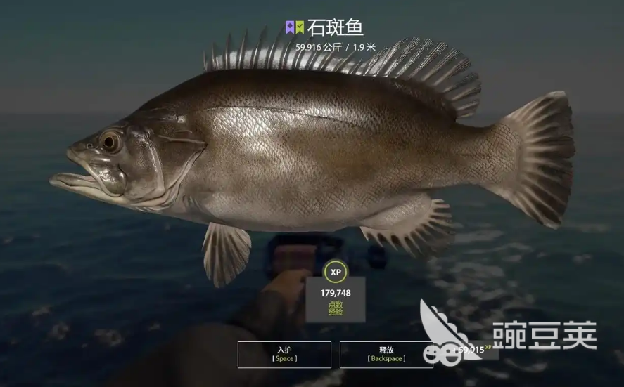 俄罗斯钓鱼4客户端下载慢怎么办?独立端快速下载与加速攻略推荐
