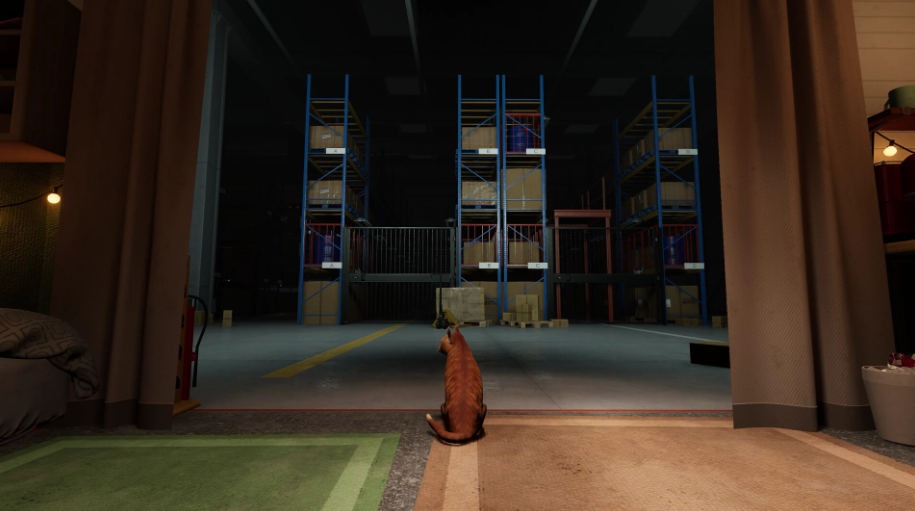 猫好货坏上线日期定了吗 order13发售日期介绍