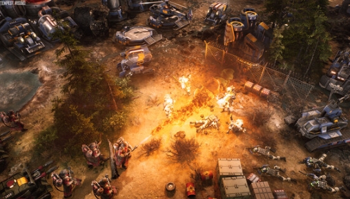 风暴崛起发售价格是多少 风暴崛起发售平台介绍