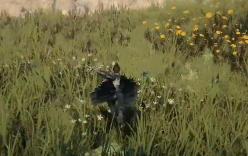 下一站江湖2澄心湖任务全攻略 澄心湖剧情流程与隐藏任务详解