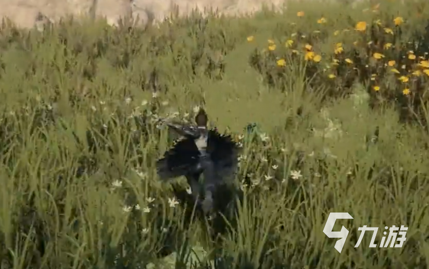 下一站江湖2澄心湖任务全攻略 澄心湖剧情流程与隐藏任务详解