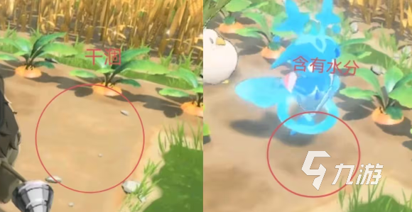 蓝色星原旅谣耕种玩法与浇水技巧详解