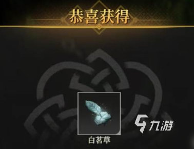 地下城堡4白茗草获取方法及具体位置详解