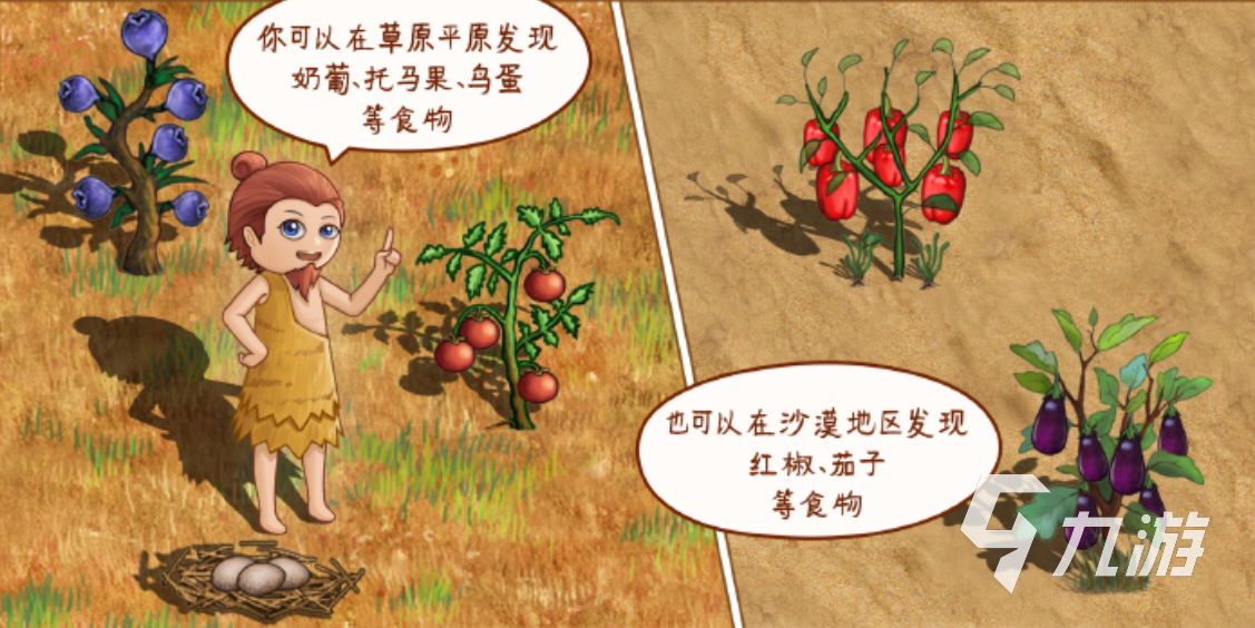 村落人生食物制作全攻略:简单实用的乡村美食做法