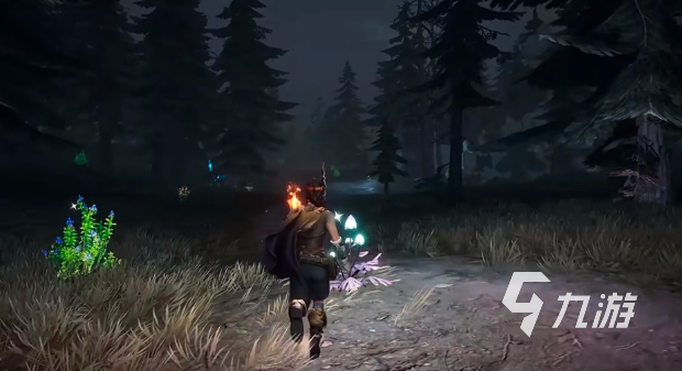 荒原曙光防腐棉种植方法与实用技巧全解析