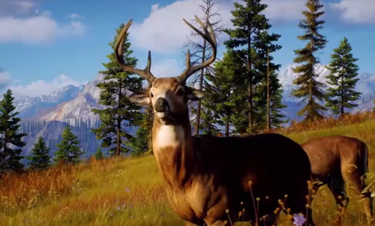 猎人之路梯子位置及获取方法全解析