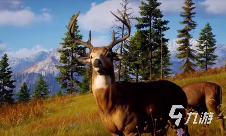 猎人之路梯子位置及获取方法全解析