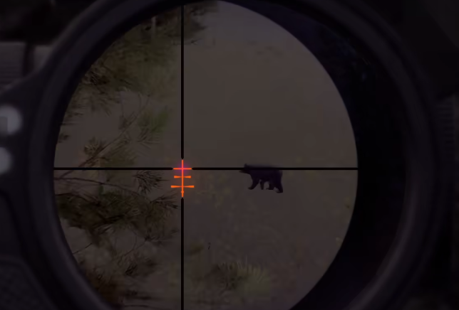 猎人之路打熊技巧与实战攻略