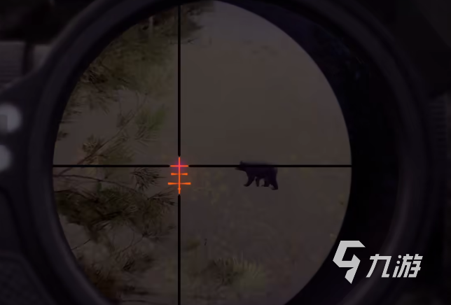 猎人之路打熊技巧与实战攻略