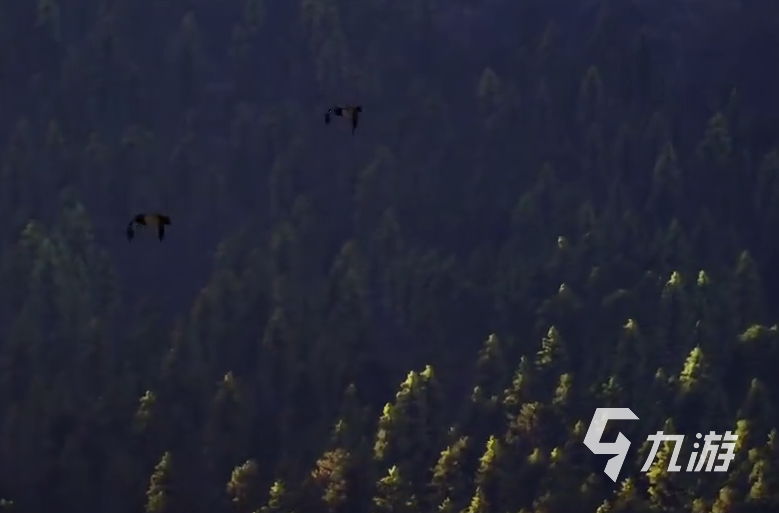 猎人之路钓鱼玩法全解析:探索游戏中的垂钓乐趣与技巧