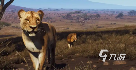 猎人之路打熊技巧全解析:高效狩猎方法与实战策略