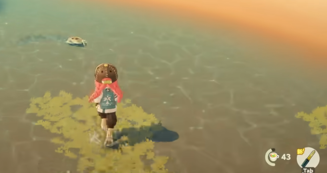 星布谷地螃蟹位置及高效捕捉技巧全攻略