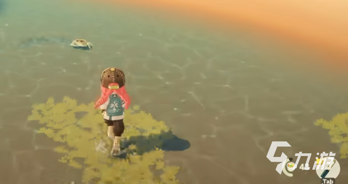 星布谷地螃蟹位置及高效捕捉技巧全攻略