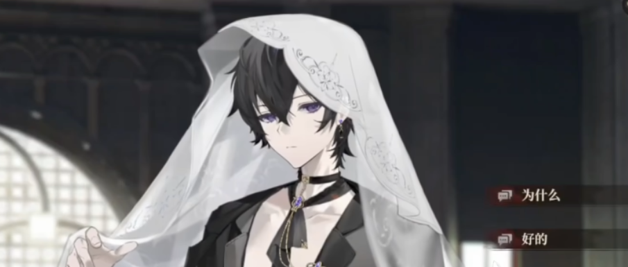 代号砰砰幽灵邀约剧情全解析 完整故事线深度分享