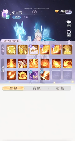 代号西行合宠玩法详解 新手必看的合宠技巧与策略