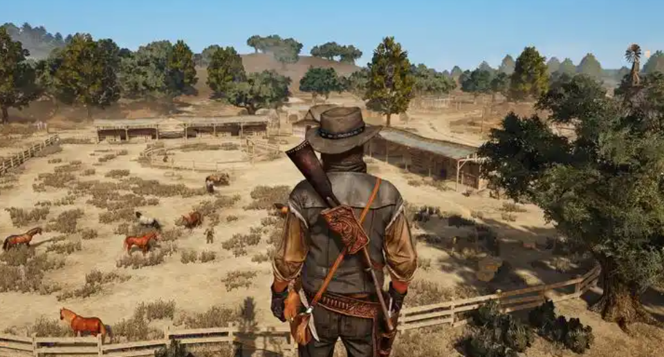 荒野大镖客：救赎手游服务器所在地及开发商信息