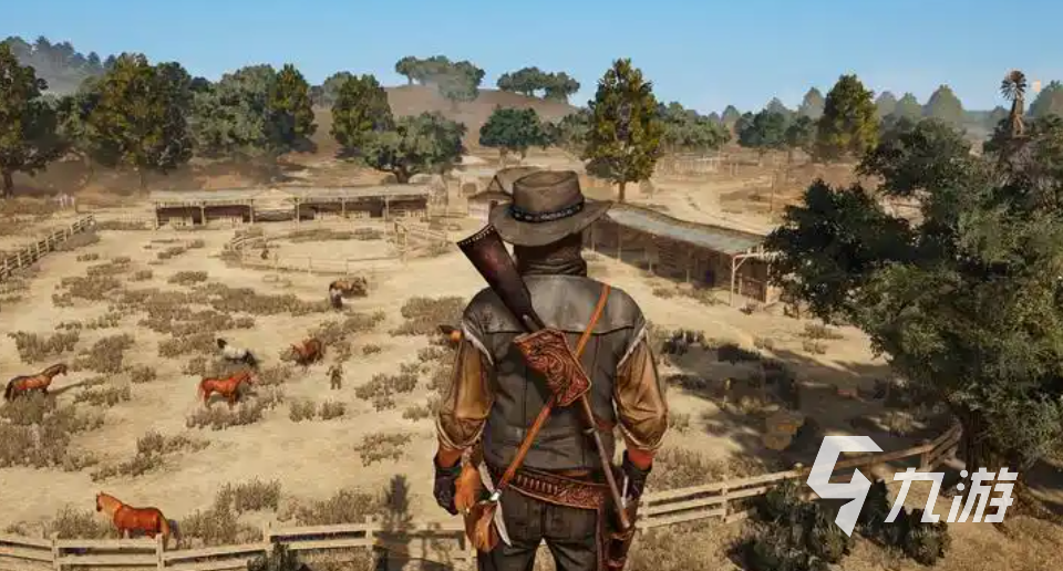 荒野大镖客:救赎手游服务器所在地及开发商信息