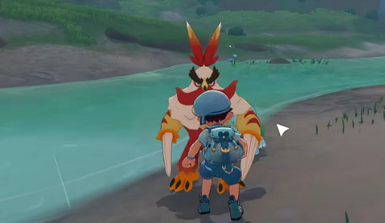 洛克王国武者鸡进化方法与详细步骤指南