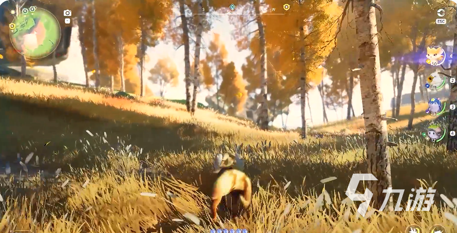 伊莫手游日耀狮宠物强度分析与实战搭配指南