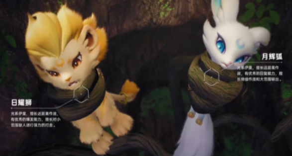 伊莫宠物二选一怎么选？实用攻略帮你做出最佳选择