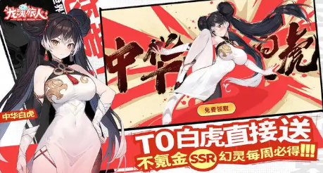 龙魂旅人白虎阵容搭配攻略：高输出低容错的强势组合推荐