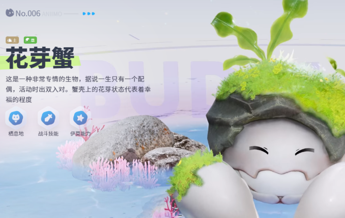 伊莫花芽蟹形态特征详解：外形、颜色与生物学特点