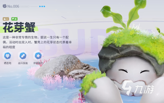 伊莫花芽蟹形态特征详解:外形、颜色与生物学特点