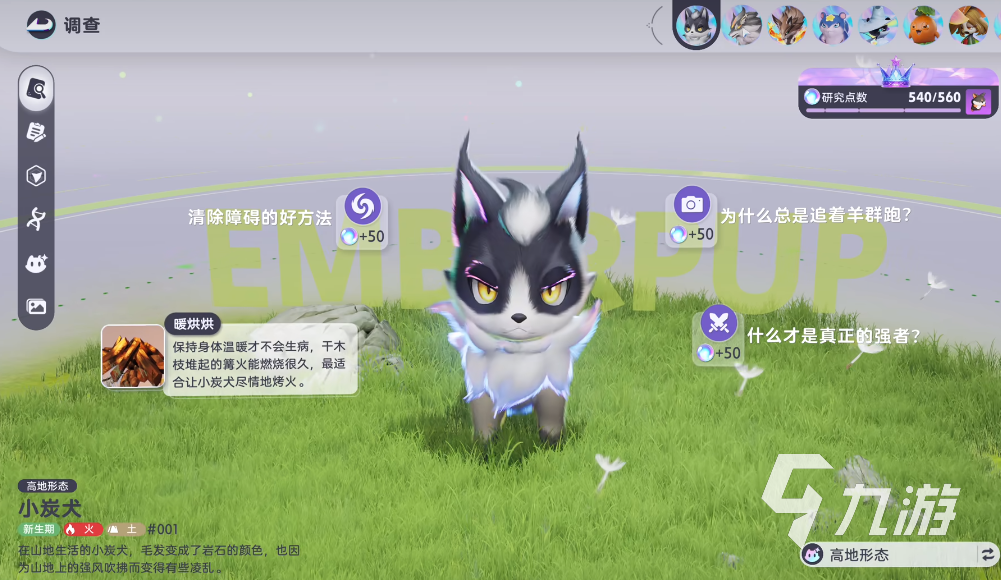 伊莫塔尔是谁?伊莫宠物推荐指南