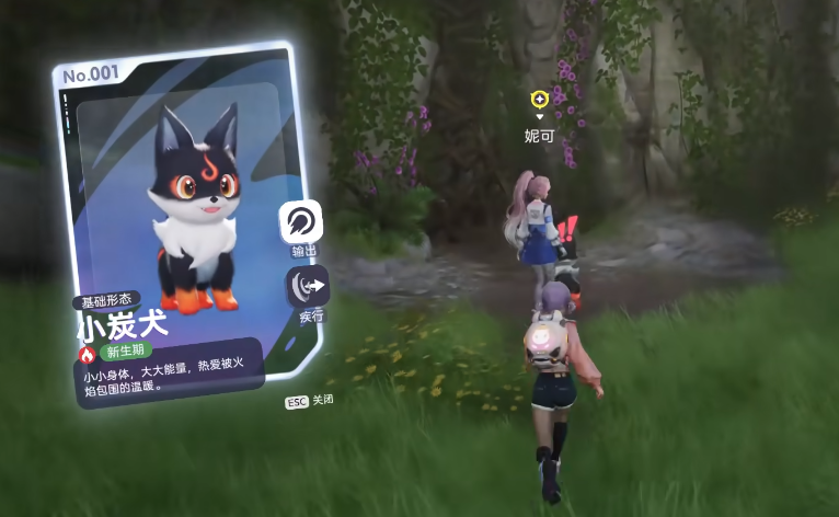 伊莫武伊莫与伊莫族全解析：起源、分支及文化特征