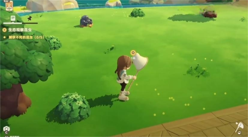 星布谷地抓蝴蝶实用技巧分享：高效捕捉方法与注意事项