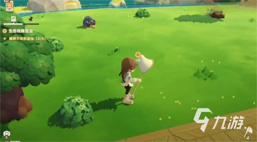 星布谷地抓蝴蝶实用技巧分享:高效捕捉方法与注意事项