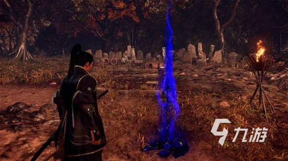 仁王3是否支持跨平台联机及多人合作游玩