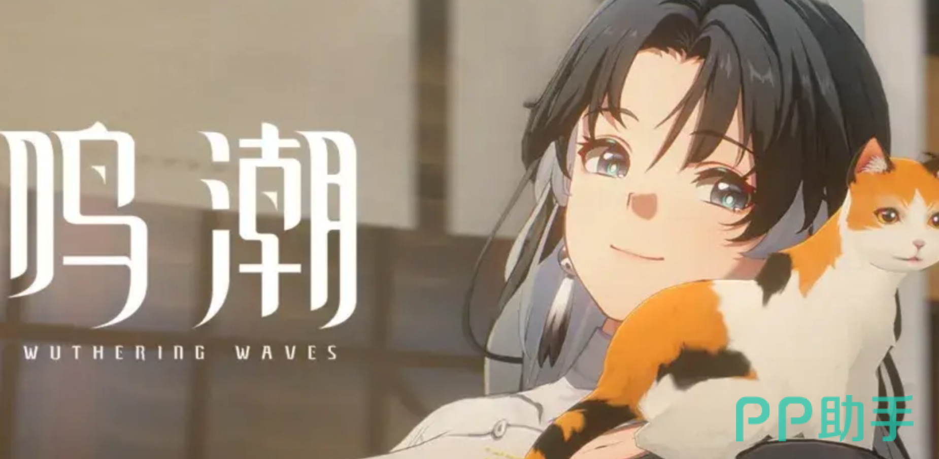 鸣潮自抽号交易平台对比图|交易猫鸣潮专区界面展示