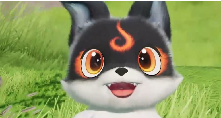 伊莫小炭犬品种介绍及饲养体验分享