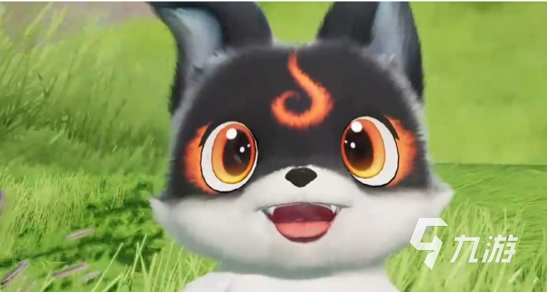 伊莫小炭犬品种介绍及饲养体验分享