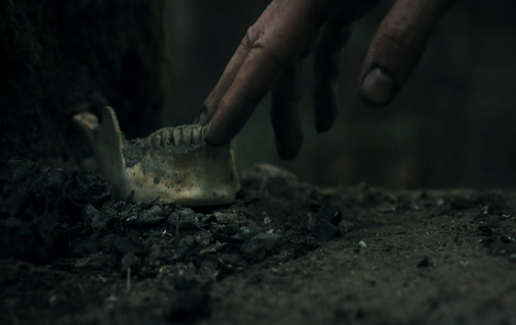 幽林深处最新兑换码汇总：每日更新可用礼包码