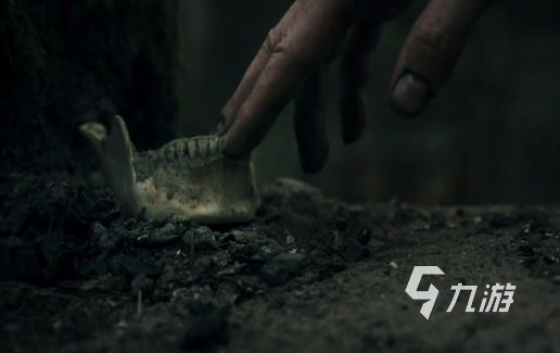 幽林深处最新兑换码汇总:每日更新可用礼包码