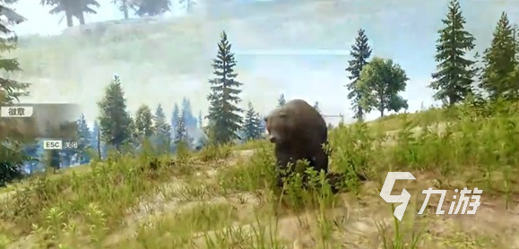 失控进化体验服申请方法与最新参与流程指南