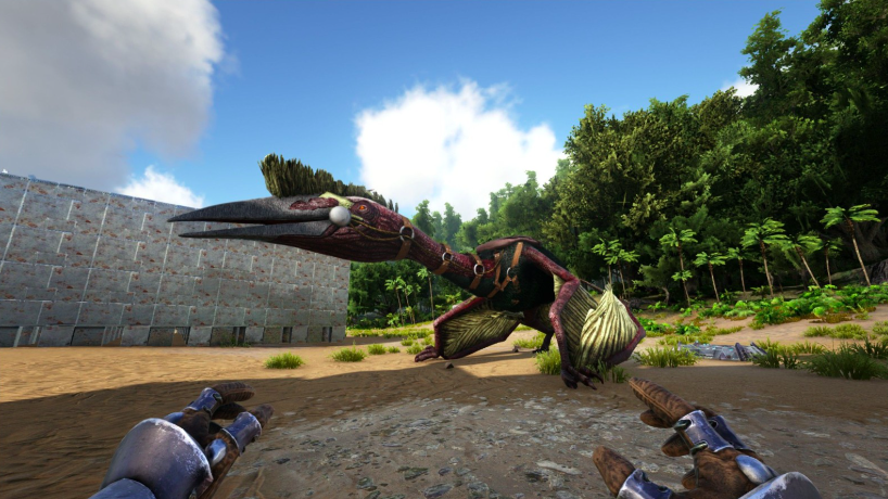 方舟生存进化手游风神翼龙空中捕获方法详解