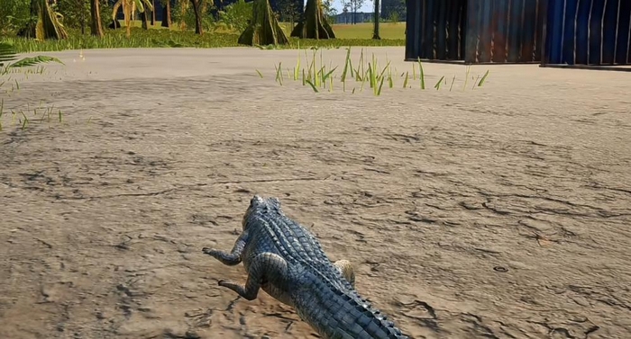 Dragon Island Mythical Beasts Origin English Name and Full Introduction