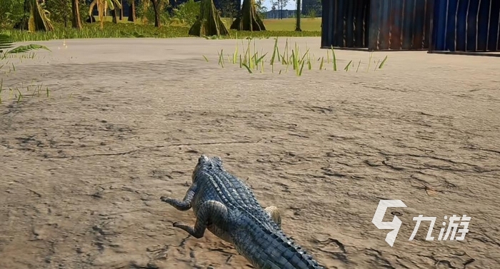 Dragon Island Mythical Beasts Origin English Name and Full Introduction