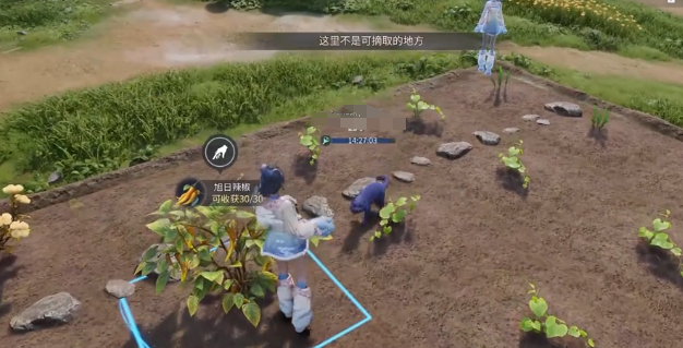 王者荣耀世界家园玩法详解：新手入门与进阶技巧分享