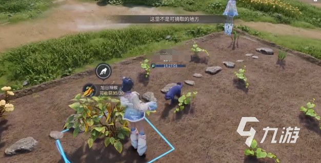 王者荣耀世界家园玩法详解:新手入门与进阶技巧分享